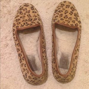 Ugg leopard alloway studied